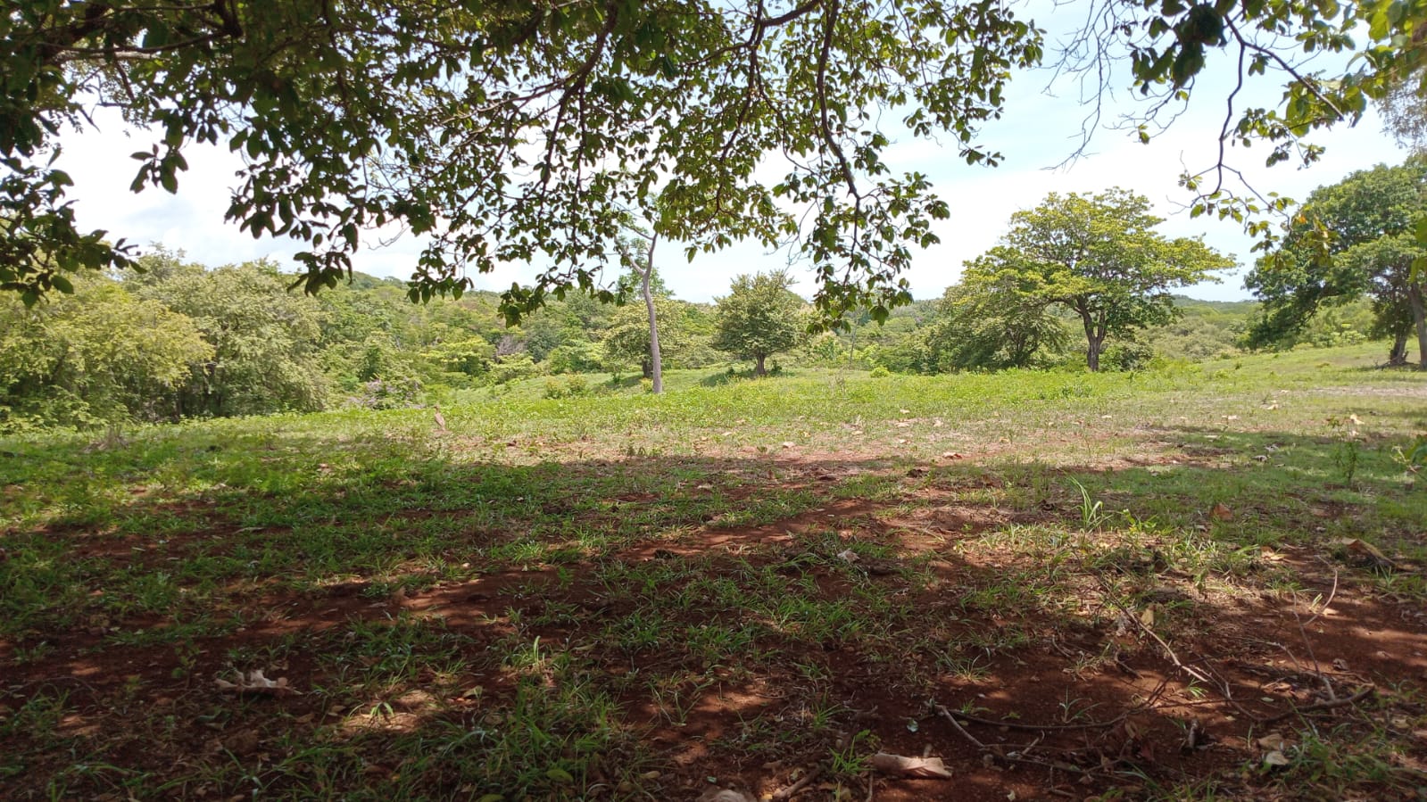 LUXURY property for sale Costa Rica Guanacaste Santa Cruz - Imagen ampliada 14