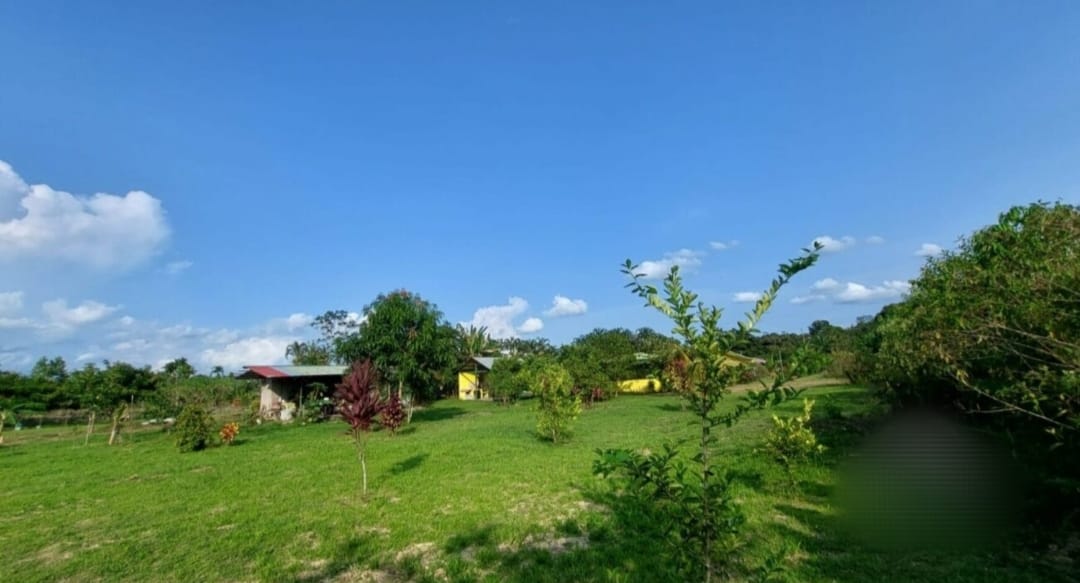 Finca en Sarapiqui Costa Rica - Imagen ampliada 3
