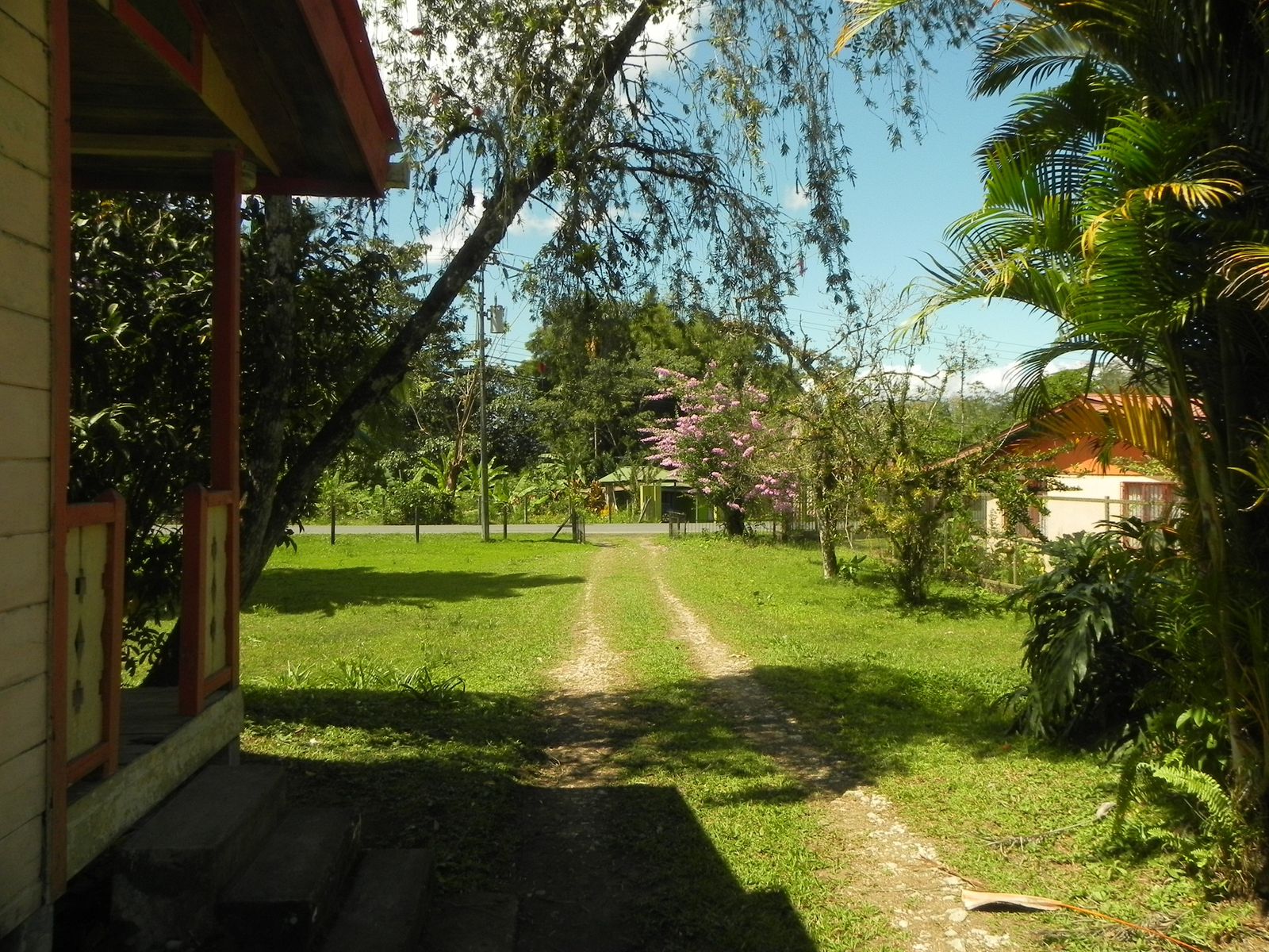 Finca Turrialba Costa Rica - Imagen ampliada 4