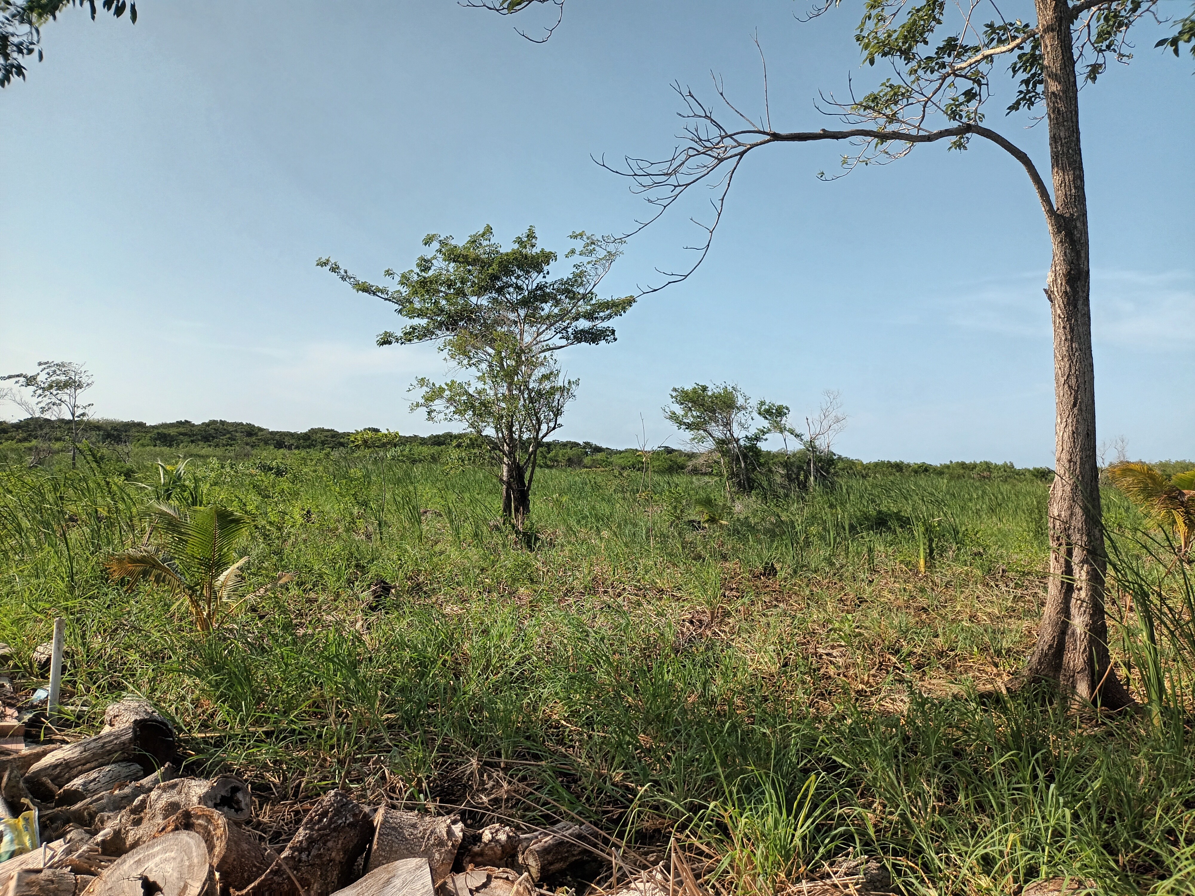 35 ACRES FOR SALE IN UTILA BAY ISLANDS OF HONDURAS - Plano 2