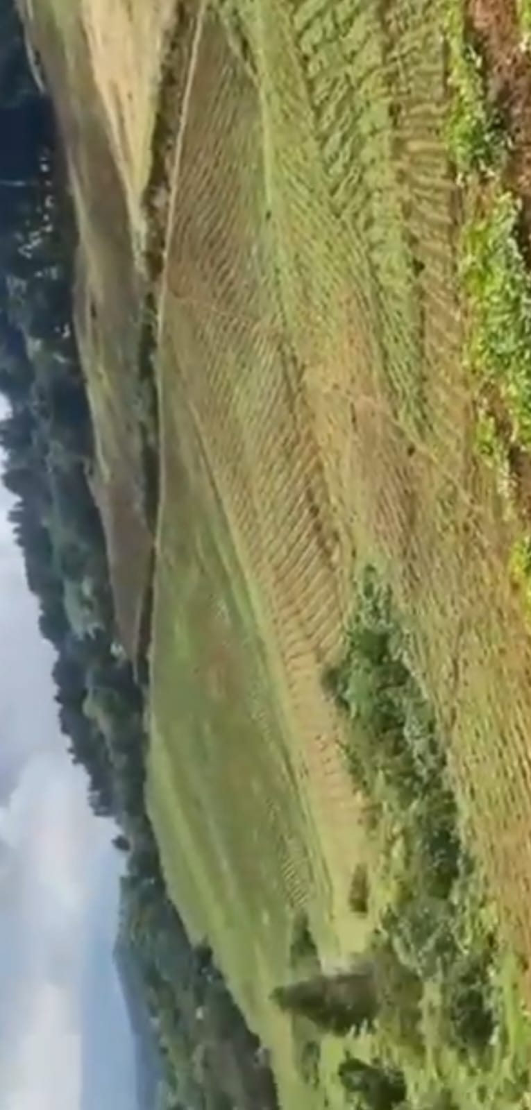 BEAUTIFUL FINCA FOR SALE IN ZARCERO - Imagen ampliada 7