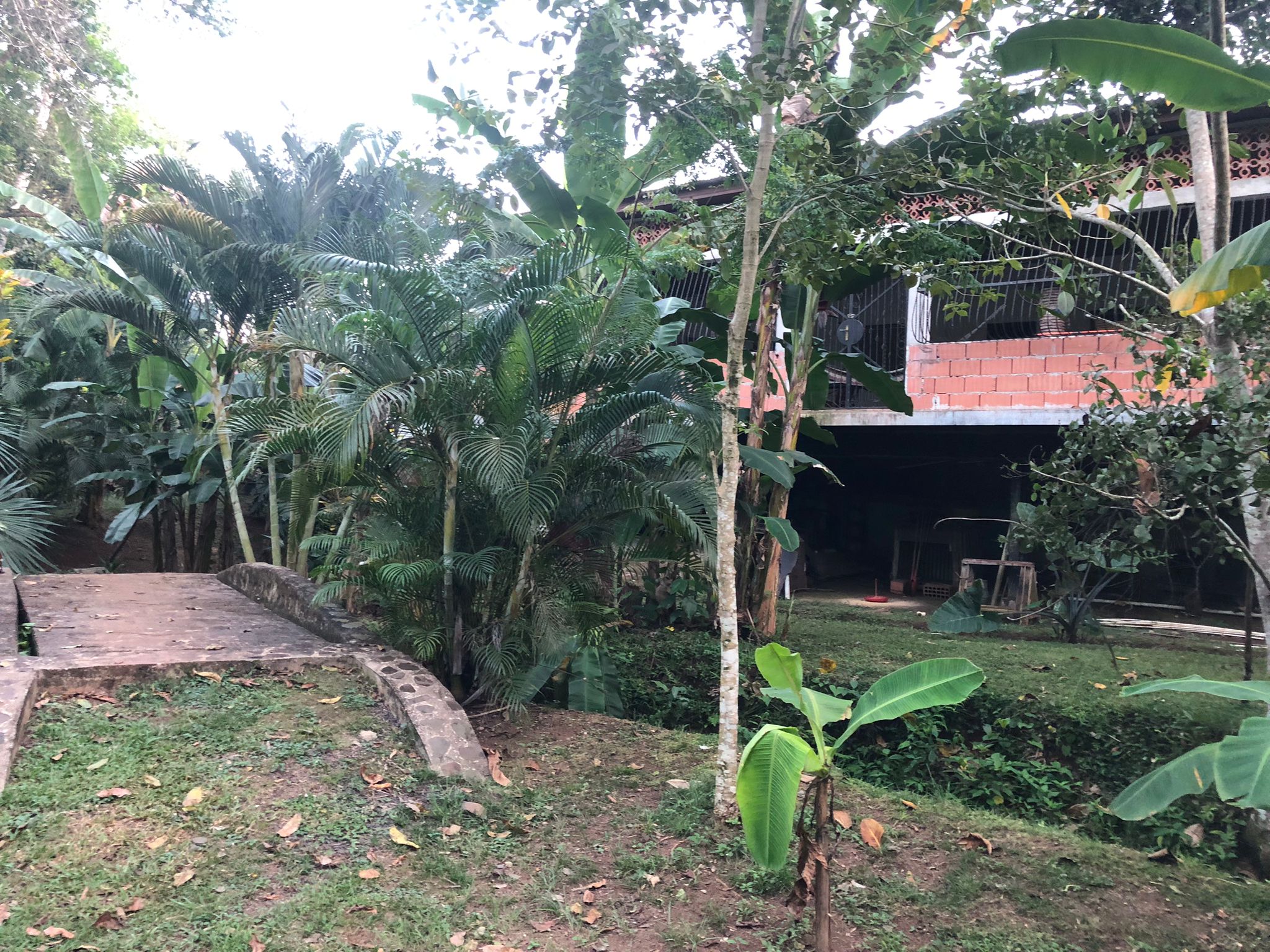 Oportunidad única de inversión Finca de 30000 m2 en Arado Río Congo La Chorrera - Imagen ampliada 10