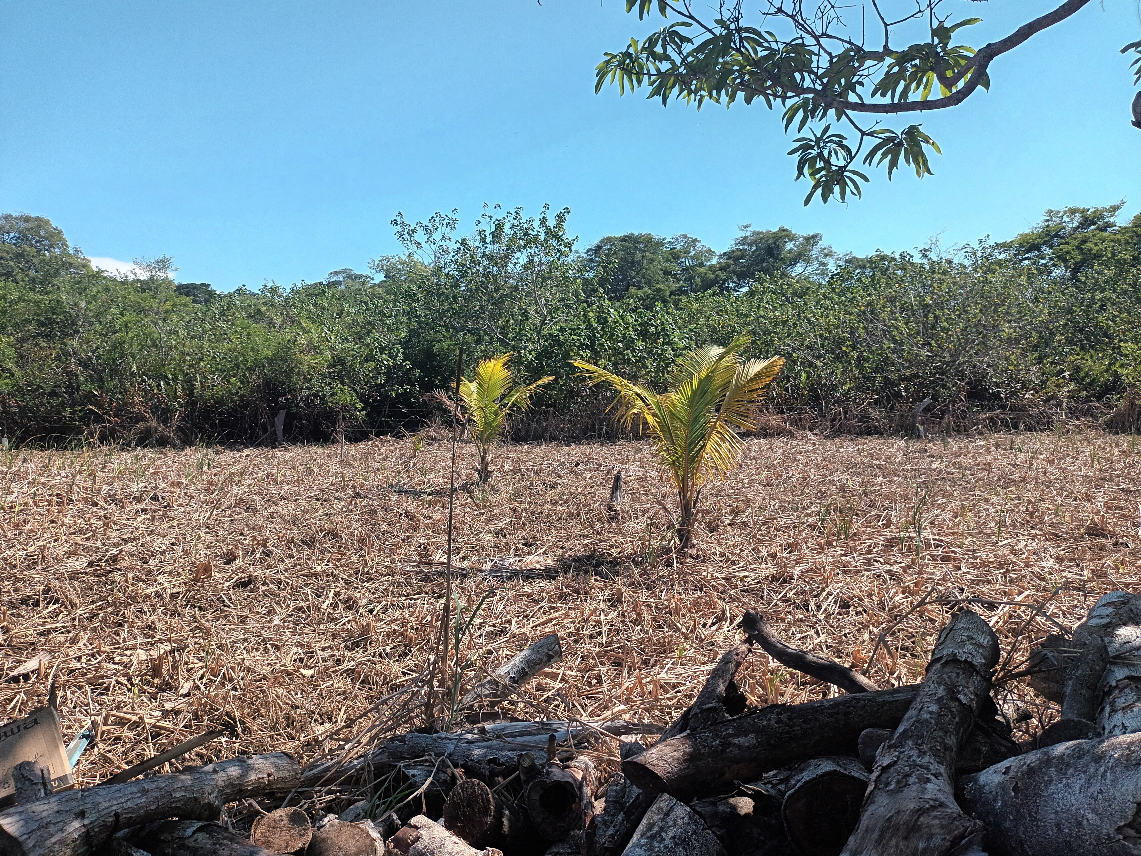 35 ACRES FOR SALE IN UTILA BAY ISLANDS OF HONDURAS - Plano 1