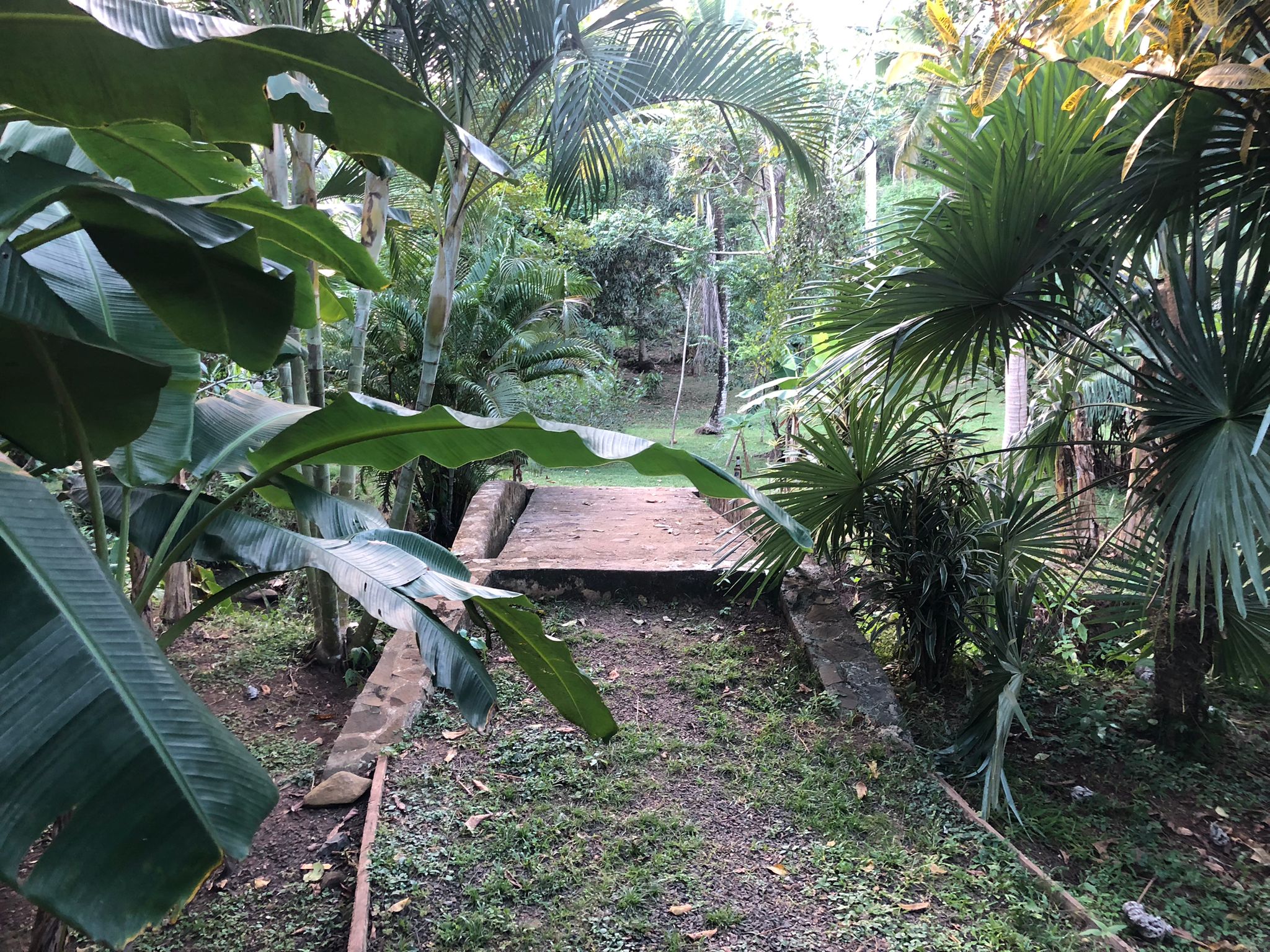 Oportunidad única de inversión Finca de 30000 m2 en Arado Río Congo La Chorrera - Imagen ampliada 15