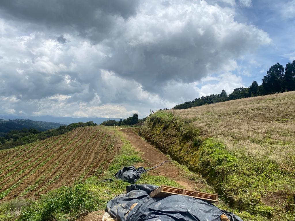 BEAUTIFUL FINCA FOR SALE IN ZARCERO - Imagen ampliada 6