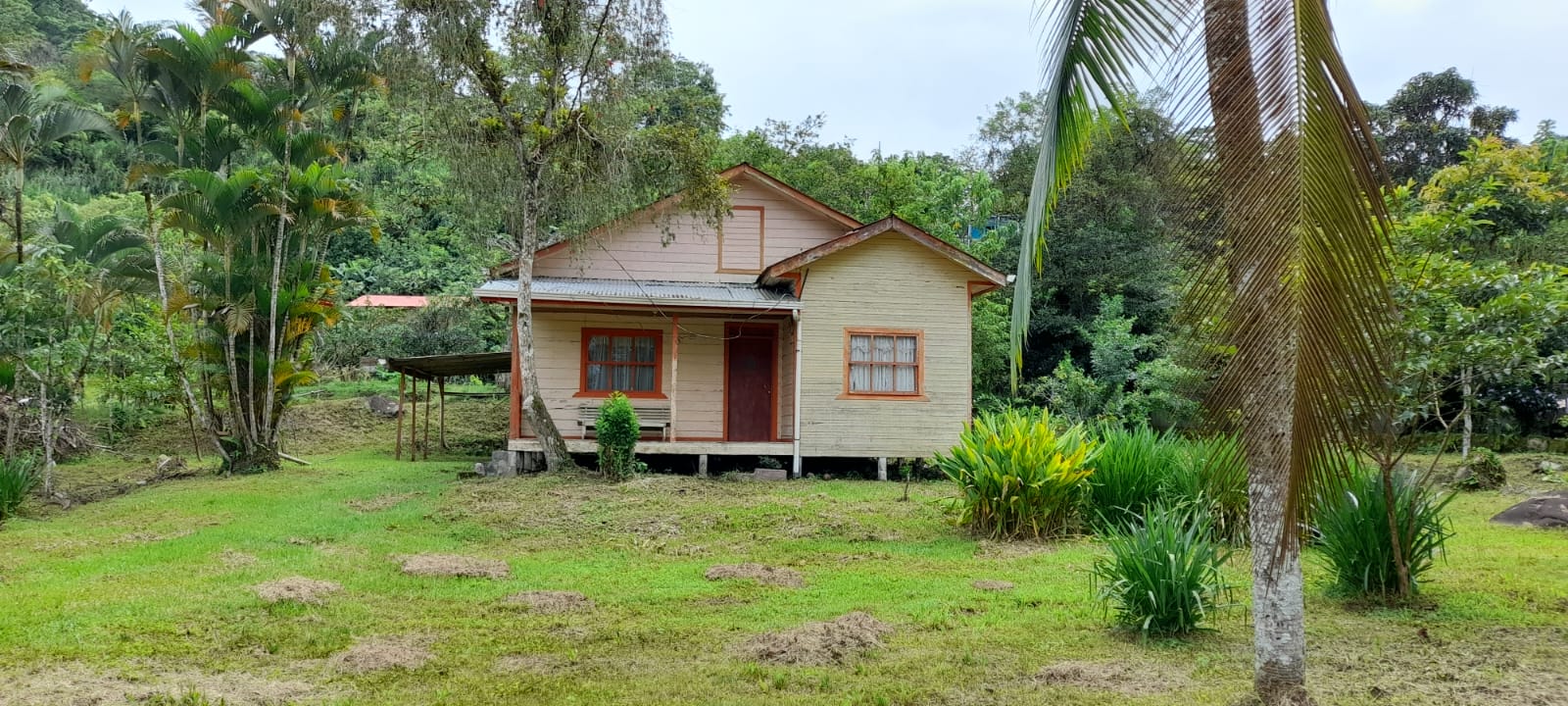 Finca Turrialba Costa Rica - Imagen ampliada 5