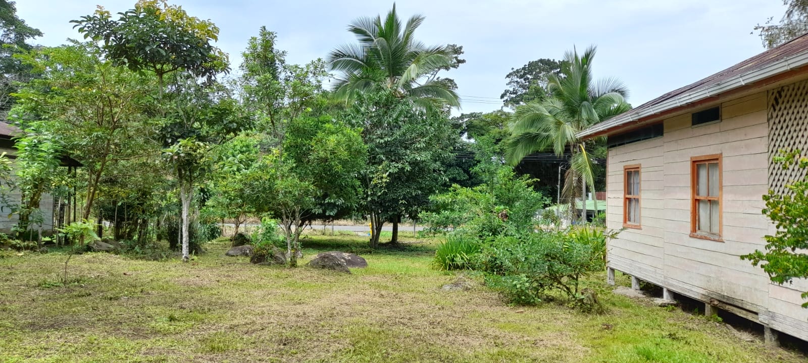 Finca Turrialba Costa Rica - Imagen ampliada 15